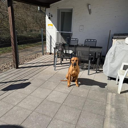 Ferienhaus Stausee Bitburg Biersdorf Exteriör bild