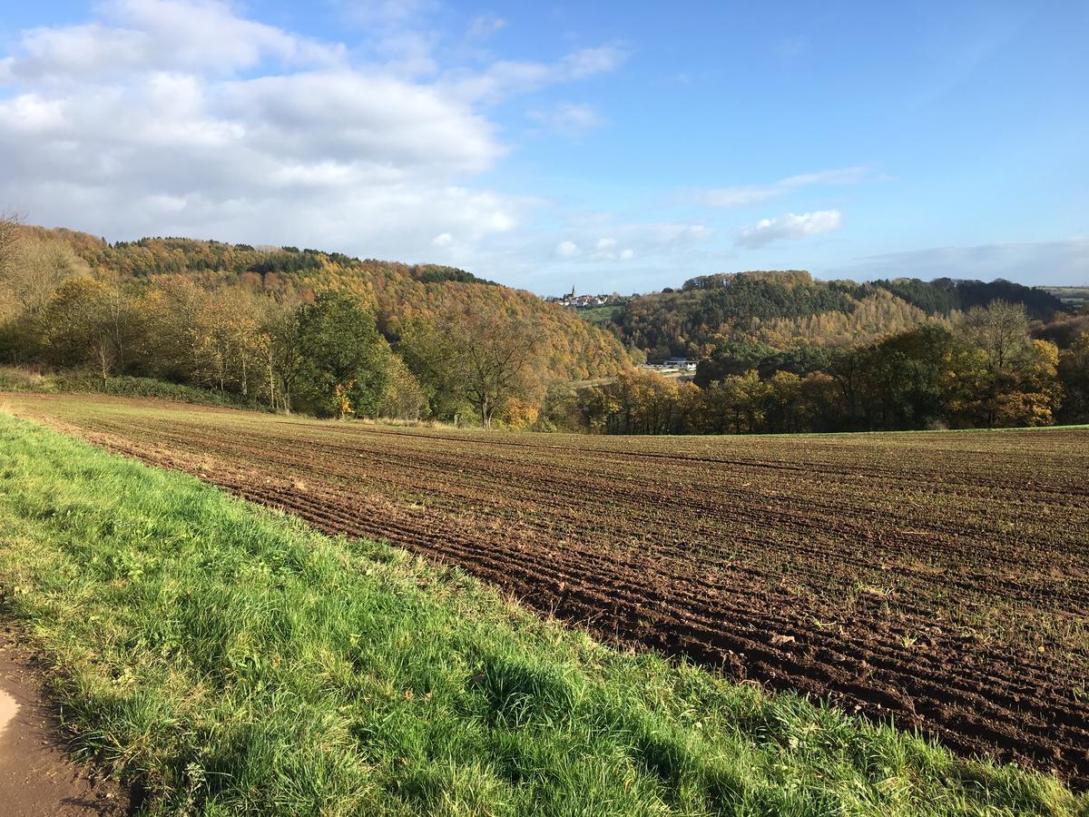 Ferienhaus Stausee Bitburg Biersdorf Exteriör bild